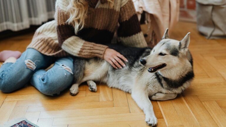 The Ideal AI Alternatives for Pet Care in 2026